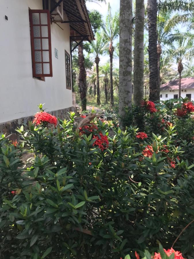 Palm Garden House Hotel Quang Tri Exterior foto
