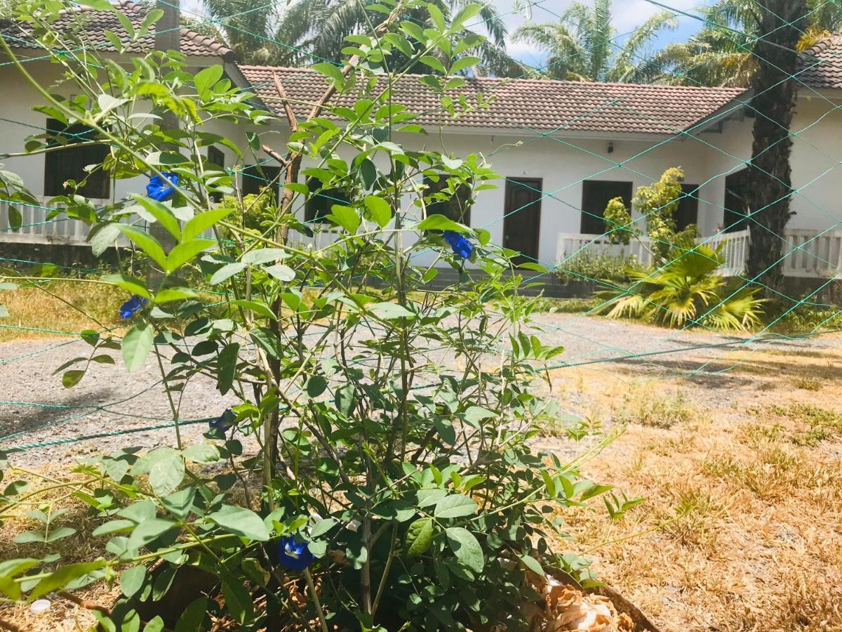Palm Garden House Hotel Quang Tri Exterior foto